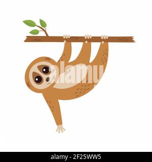Wild loris on the branch. Vector illustration Stock Vector