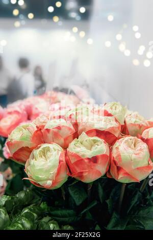 Two-tone romantic roses. Floral background with soft focus. A bouquet of roses on the counter in a flower shop. copy space. Stock Photo
