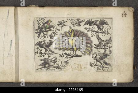Pauw en andere vogels; Vogels.A peacock in full glory, surrounded by at least nine other birds including two parrots or parakeets, a bird of prey, an owl and a swan. The print is part of an album. Stock Photo
