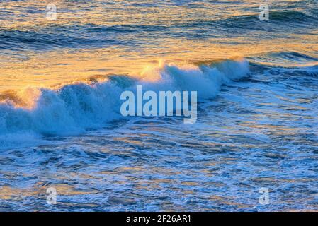 Waves crashing and breaking in the ocean with yellow sunlight on the surface. Stock Photo
