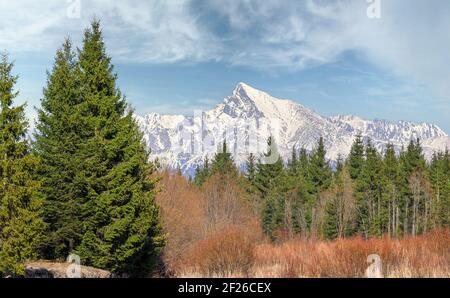 Mount Krivan peak (Slovak symbol) during spring, some snow still on top, with blue sky above, coniferous trees and bushes in foreground Stock Photo