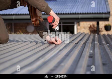 Woman mounting old trapezoidal metal roof using a power drill. Close up image. Stock Photo
