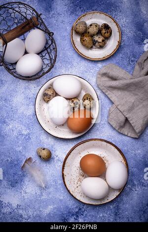 Quail and chicken eggs on blue background Stock Photo