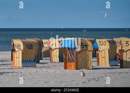 Sandy beach at the Sea with many beach baskets. Blue sky, ships on the horizon. A seagull runs in the foreground. Sandstrand am Meer mit Strandkörben. Stock Photo