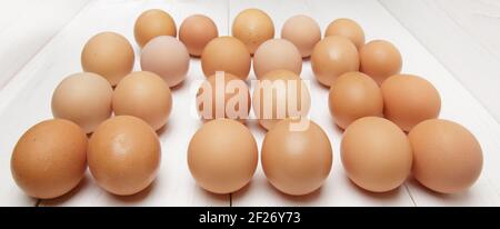 many rustic brown eggs lie on a white wooden table in rows Stock Photo