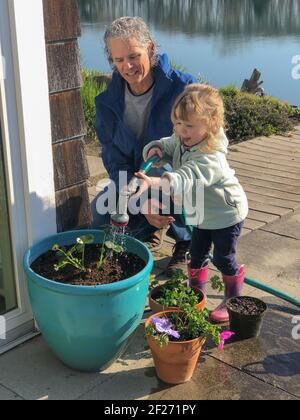 Grandfather and his small granddaughter watering new plants in the backyard. Family multi-generation leisure activities. Family time. Real people. Stock Photo