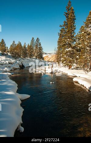 Scenic winter landscape view of a river on a sunny day. Snow covered river banks. Yellowstone National Park.