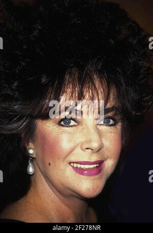 Elizabeth Taylor 1988 Photo by Adam Scull-PHOTOlink /MediaPunch Stock ...