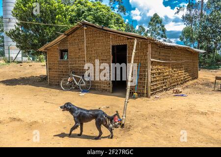 House of clay built and stick a pike and paja clay, in the rural area of  Brazil Stock Photo