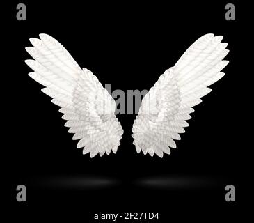 Vector Realistic White Wings on black background Stock Vector