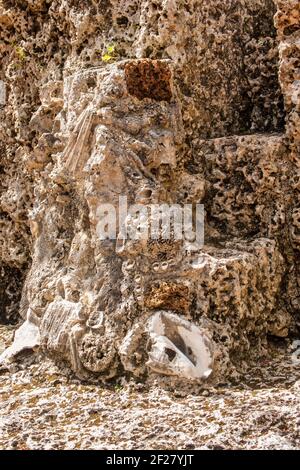 A wall containing fossilized seashells of the mysterious Coral Castle located south of Miami, Florida. Stock Photo