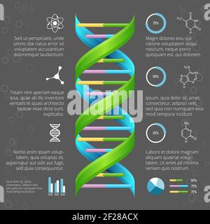 Infographic template with DNA structure for medical and biological research. Genetic health, life evolution, model line helix, vector illustration Stock Vector
