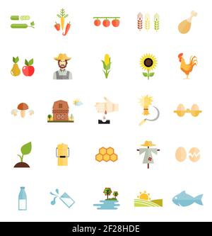 Flat Style Vector Farm Organic Food Icon Isolated on White Background. Stock Vector