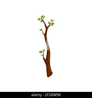 Tree branch with green leaves isolated stylized limb of spring season. Vector natural stick with leaf foliage, symbol of growth, flat cartoon bush ele Stock Vector