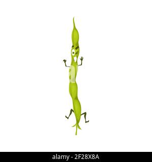 Emoticon of kidney bean legume pod vegetarian food isolated flat cartoon character. Vector common kidney bean in closed pod. Comic superfood hero vege Stock Vector