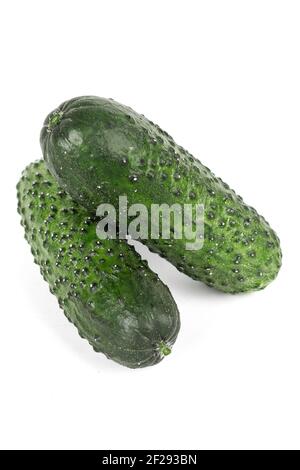 three green fresh cucumbers isolated on white background. Stock Photo