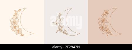 Set of Crescent moon of orchid and Lily flowers in trendy linear minimal style. Vector floral outline emblems Stock Vector