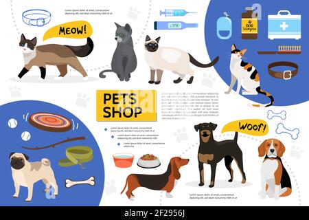 Flat pet shop infographic template with dog cat food toys bowls collar comb leash syringe medical kit shampoo bones thermometer isolated vector illust Stock Vector