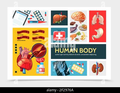 Cartoon healthcare infographic concept with liver kidneys stomach lungs heart clipboard pills syringe thermometer medical box food hand x-ray vector i Stock Vector