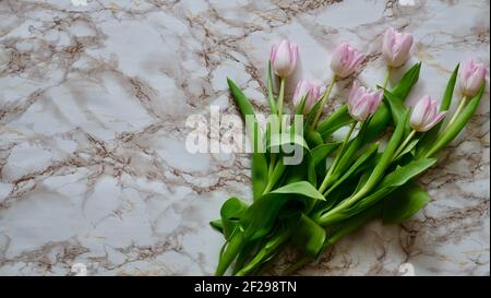 Pink flowers of Dutch tulips on a white marble background with copy space, copypaste. International Women's Day, Mother's, March 8, Valentine's, Blonde, Daughters, Beauty. Stock Photo