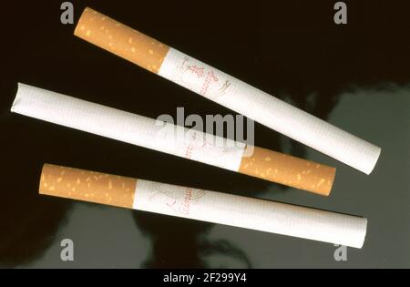 Cigarettes made of the dried leaves of Panax ginseng, medicinal plant, ginseng plant, traditional medicine in asia, corea, Ginseng, panax ginseng  / Stock Photo