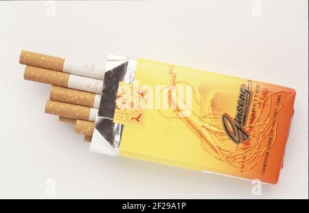 Cigarettes made of the dried leaves of Panax ginseng, medicinal plant, ginseng plant, traditional medicine in asia, corea, Ginseng, panax ginseng  / Stock Photo