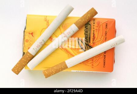 Cigarettes made of the dried leaves of Panax ginseng, medicinal plant, ginseng plant, traditional medicine in asia, corea, Ginseng, panax ginseng  / Stock Photo