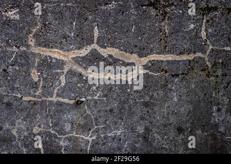 fine close up of concrete texture background Stock Photo