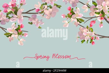 Spring blossom background with blooming pink flowers in a horizontal banner Stock Vector