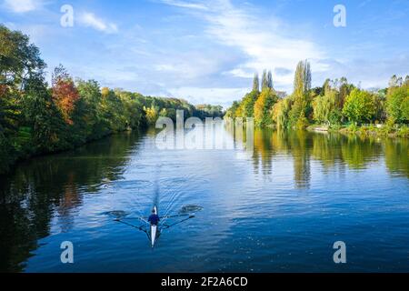 Drone view of a rowing boat (single skull) on the Oise river, Butry sur Oise, Val d'Oise, France Stock Photo