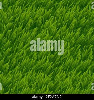 Green grass vector seamless texture. Lawn nature, meadow plant, field natural outdoor illustration Stock Vector