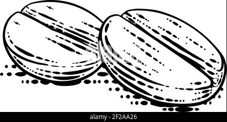 Coffee Beans Illustration Vintage Woodcut Style Stock Vector
