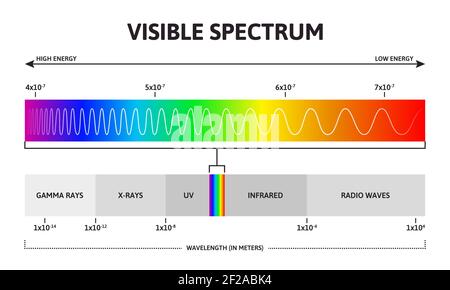 Visible light diagram. Color electromagnetic spectrum, light wave ...