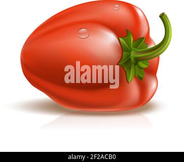 Perfect red pepper with drops on white Stock Vector