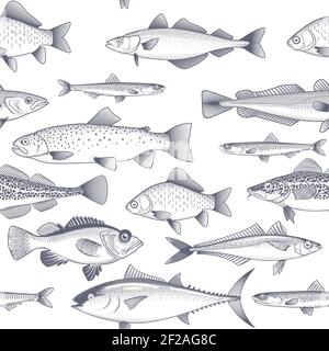 Seamless fish background, pattern of tuna, trout, mackerel and other commercial fish and seafood wallpaper, vector Stock Vector