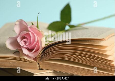 Closeup of Open Book and Pink Rose on Wooden Table Stock Photo