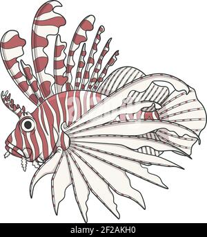 Color image lionfish. Vector objects on a white background. Stock Vector