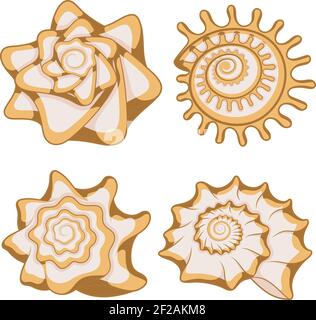 Set of color graphic sea shells. Isolated objects. Stock Vector