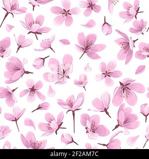 Pink blossom flowers on white background. Gentle spring floral seamless pattern. Stock Vector