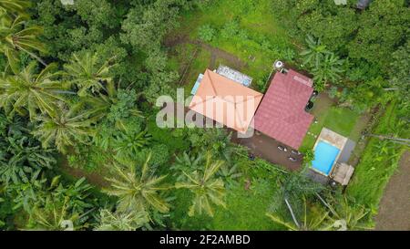Drone shot of secluded houses surrounded by dense rainforest with palm trees. Amazing aerial view of bungalows in jungle.