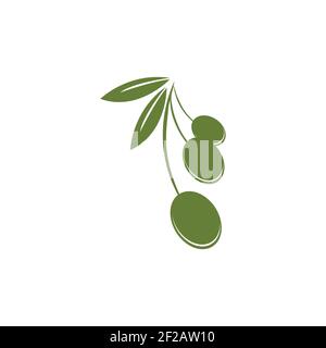 Olive logo template vector icon illustration design Stock Vector
