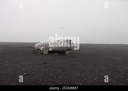 DC-D Mcdonnell Douglas solheimasandur plane wreck on black sand beach lonely flying bird Stock Photo