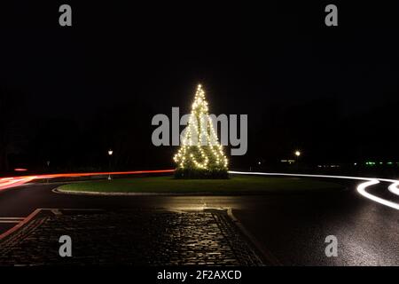 Christmas tree in the Park, Decorated with lights and light trails around, Xmas tree, merry, car light trails, glowing, roundabout, in the center