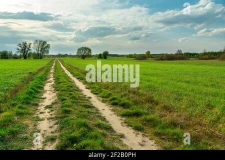 Dirt road through green fields in eastern Poland Stock Photo