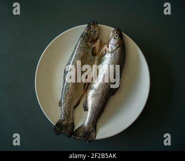 Still life of trout on a dish Stock Photo
