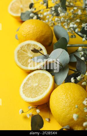 Eucalyptus branches, lemons and gypsophila on a yellow background, cheerful spring composition Stock Photo