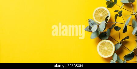 Beautiful eucalyptus branches and sliced lemons on a bright yellow background, wide banner flat lay Stock Photo