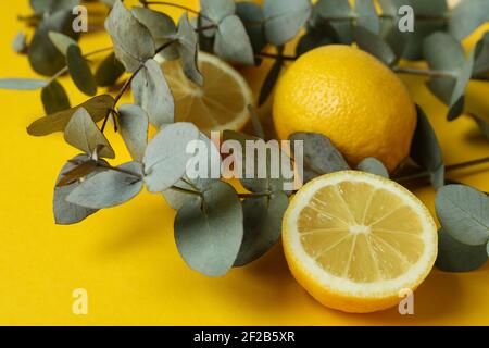 Beautiful eucalyptus branches and lemons on a sunny yellow background, bright citrus greenery Stock Photo