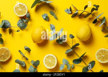 Beautiful eucalyptus branches and lemons on a bright yellow background, vivid fresh flat lay Stock Photo