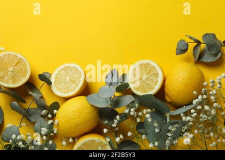 Eucalyptus branches, lemons and gypsophila on a bright yellow background, fresh spring flat lay Stock Photo